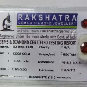 HESSONITE (S) S2HNS1320  3.880  Cts