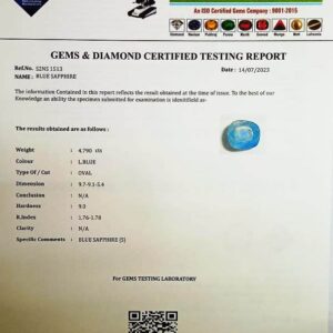 S2NS 1513