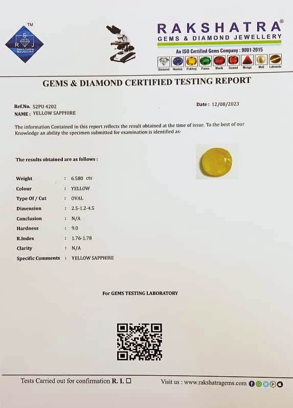 S2PU 4202