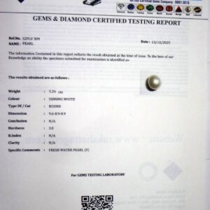 S2PLV 309